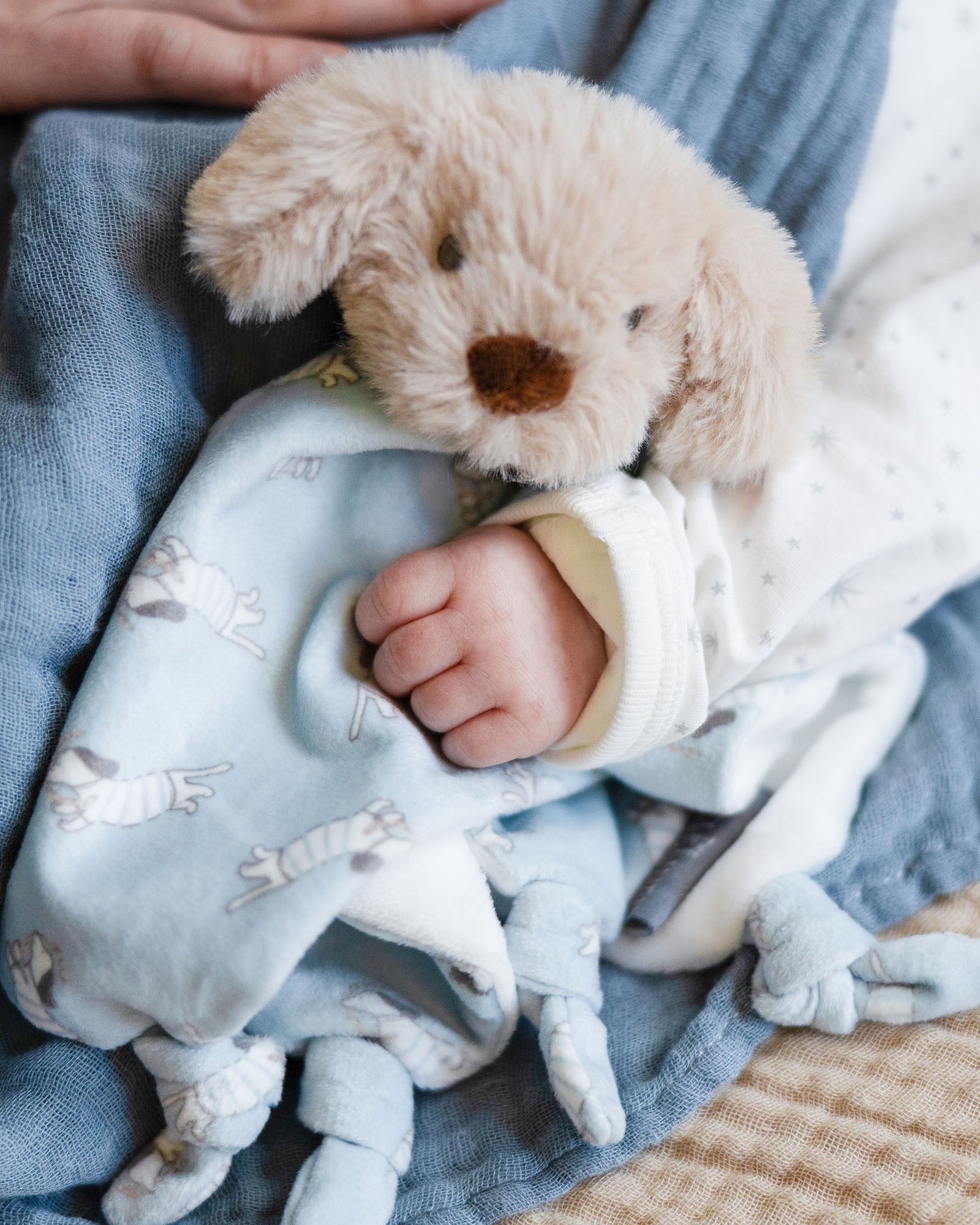 Little Linen Lovie Comforter Barklife Dog Lifestyle